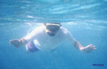 Snorkel4.jpg
