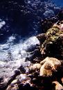 Snorkel5