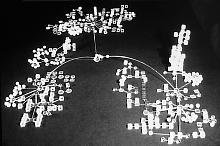 BayMOO Study Model