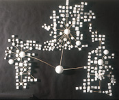 BayMOO Study Model